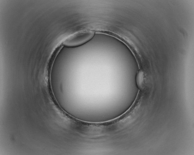 X0000111430981200907131219