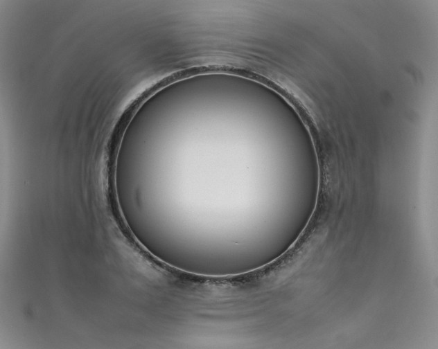 X0000111430983200907131219