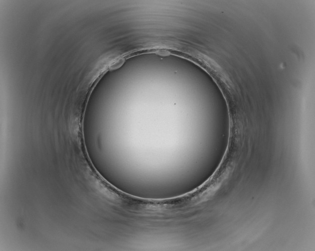 X0000111430985200907131219