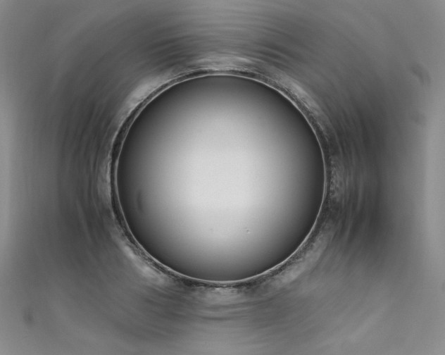 X0000111430986200907131219