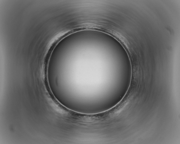 X0000111430987200907131219