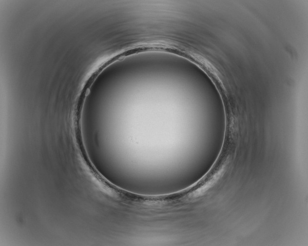 X0000111430989200907131219