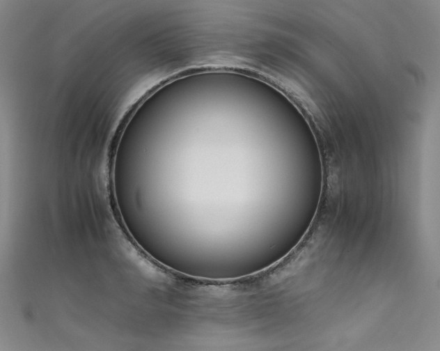 X0000111430990200907131219