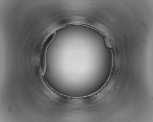 X0000111430993200907131219