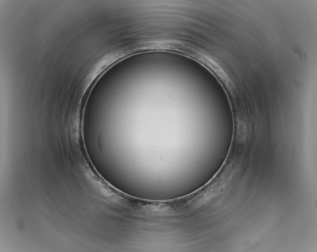 X0000111430994200907131219