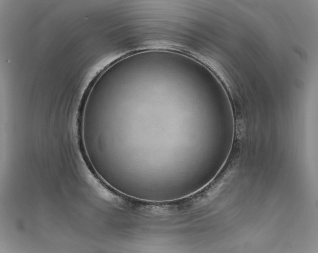 X0000111430995200907131219
