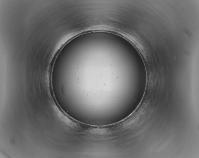 X0000111430998200907131219
