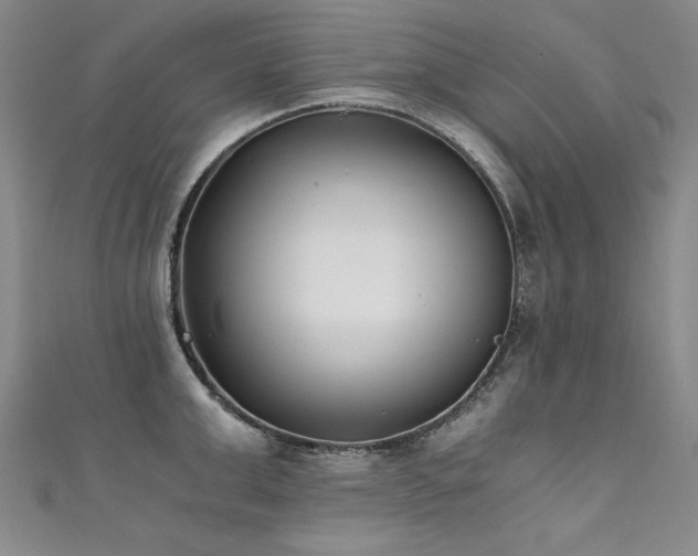 X0000111430999200907131219