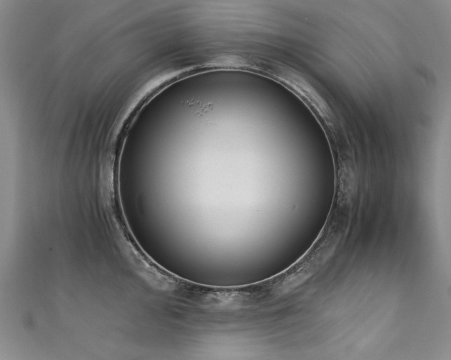 X0000111431000200907131219