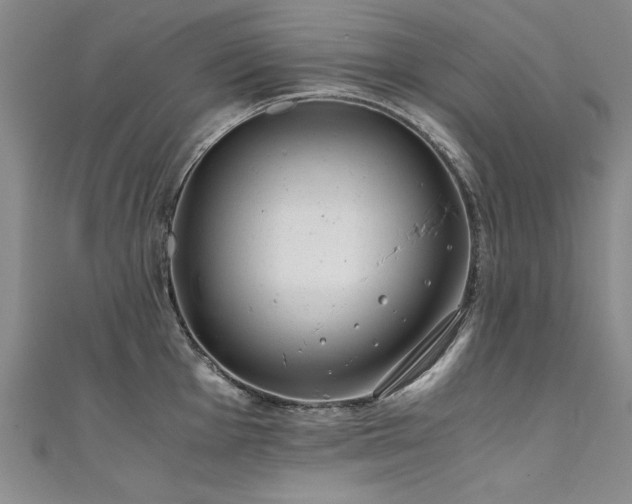 X0000111431001200907131219