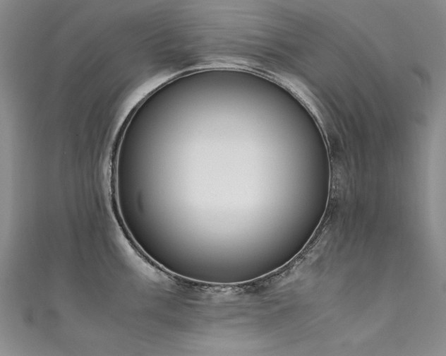 X0000111431003200907131219