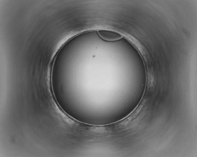 X0000111431006200907131219