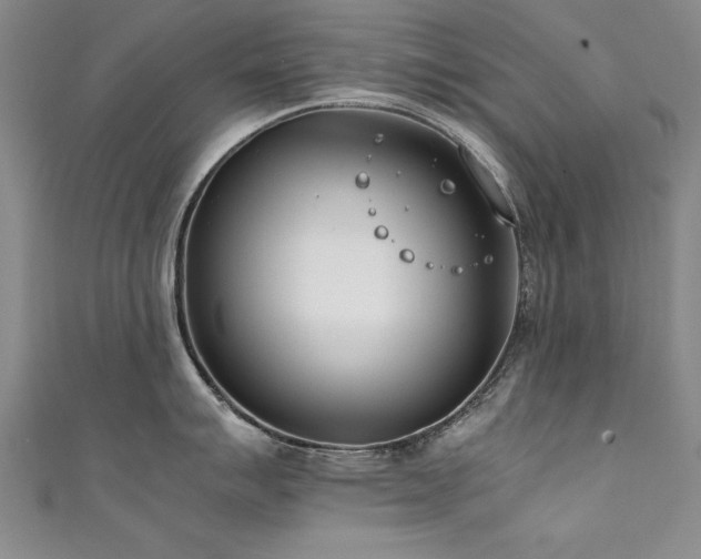 X0000111431007200907131219