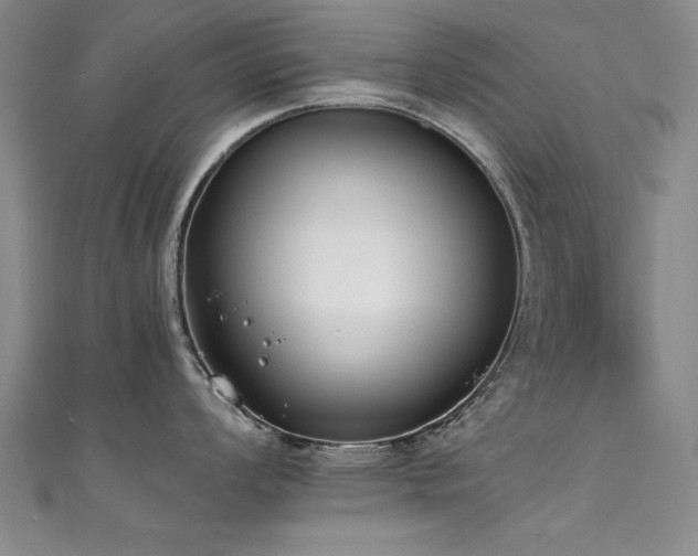 X0000111431008200907131219