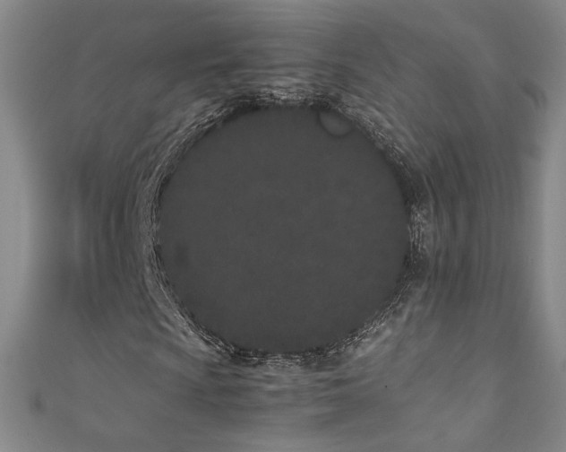 X0000111431009200907131218
