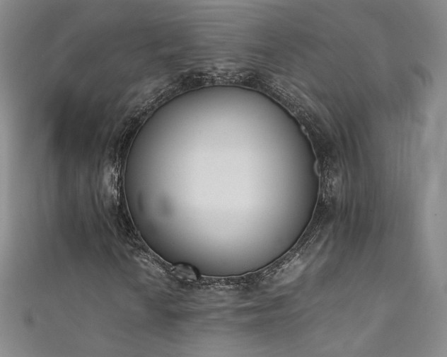 X0000111431010200907131218