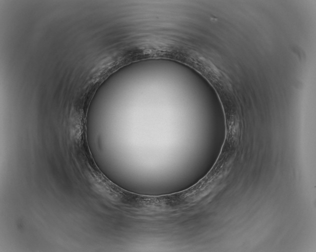 X0000111431012200907131218