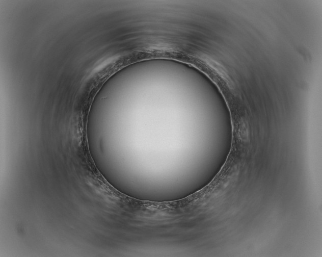 X0000111431015200907131218