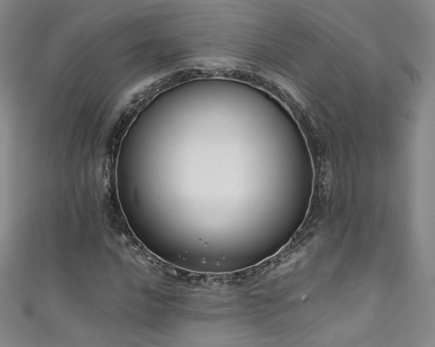 X0000111431016200907131218