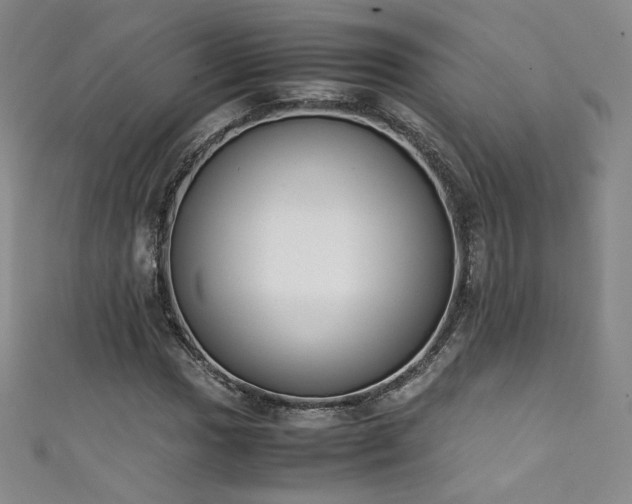 X0000111431017200907131218
