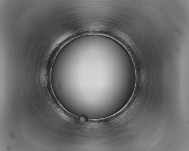 X0000111431018200907131218