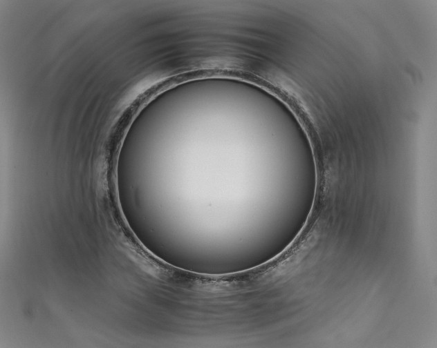 X0000111431019200907131218
