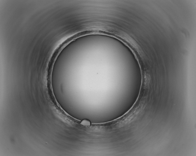 X0000111431020200907131218