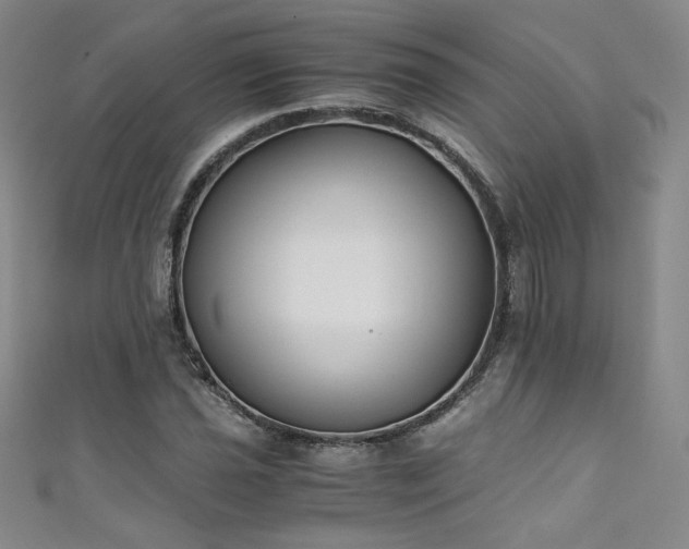 X0000111431021200907131218