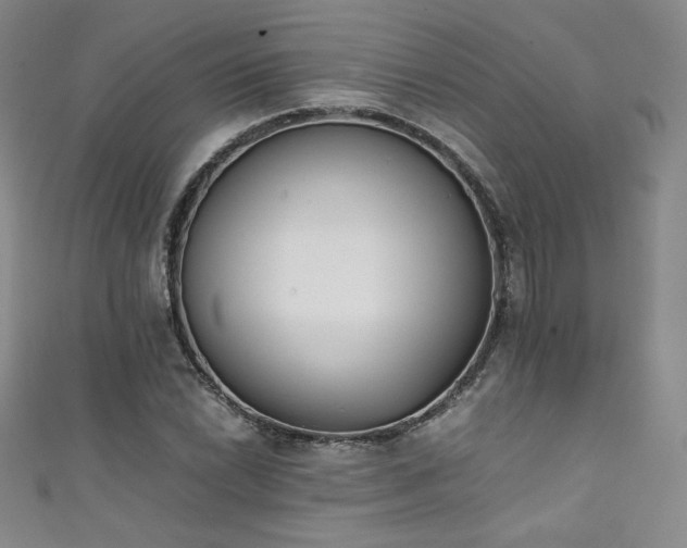 X0000111431022200907131218