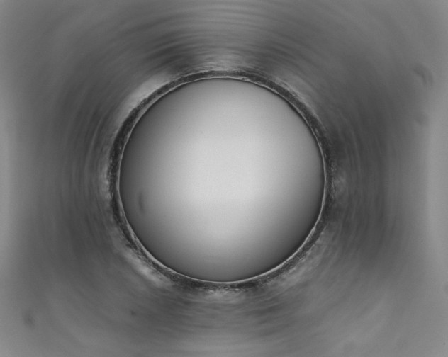 X0000111431026200907131218