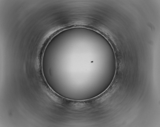 X0000111431027200907131218
