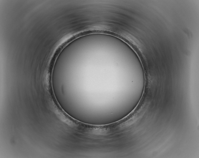 X0000111431029200907131218