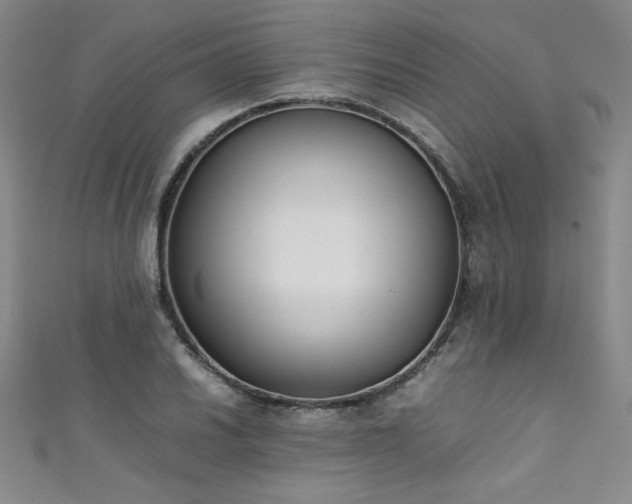 X0000111431030200907131218