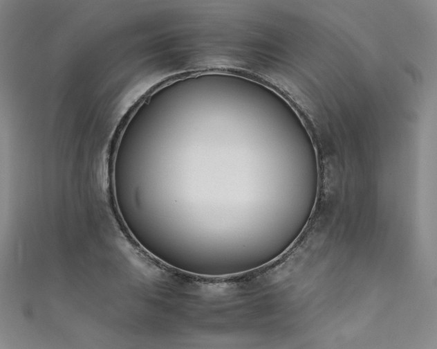 X0000111431031200907131218