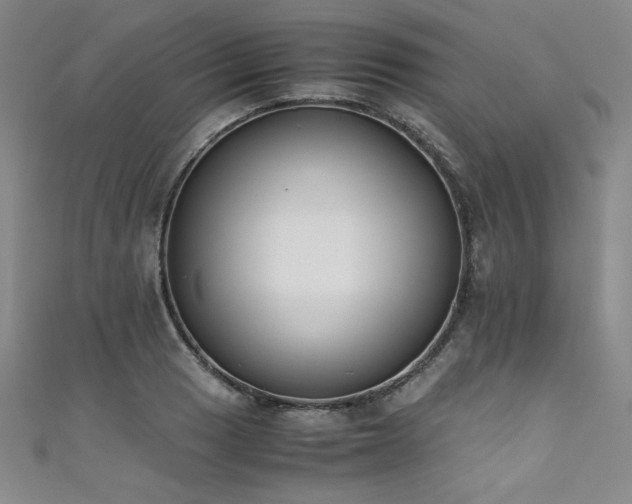 X0000111431033200907131219