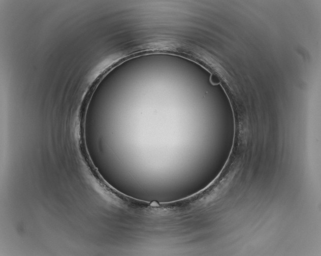 X0000111431034200907131219