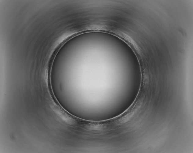 X0000111431035200907131219