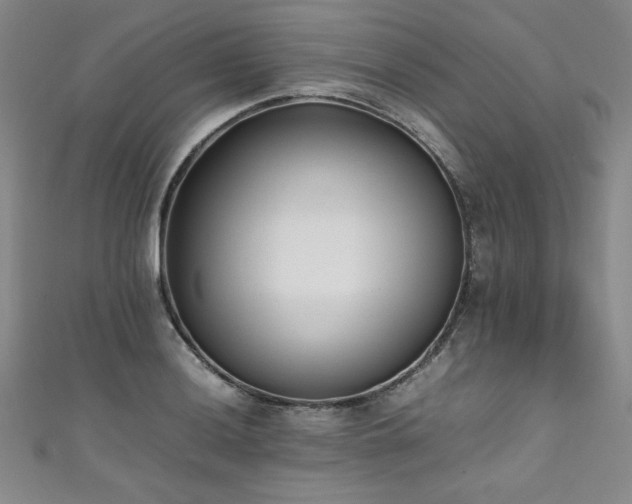 X0000111431036200907131219