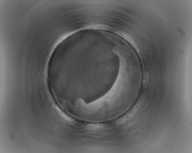 X0000111431037200907131219