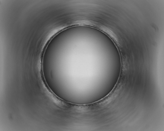 X0000111431040200907131219