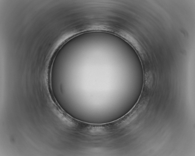 X0000111431043200907131219