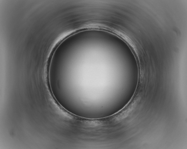 X0000111431045200907131219