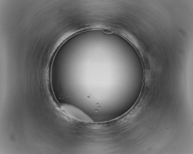 X0000111431048200907131219