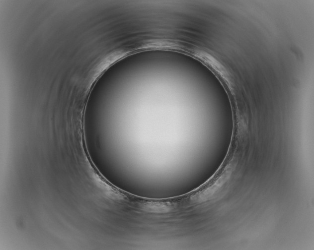 X0000111431049200907131219