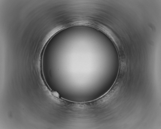 X0000111431050200907131219
