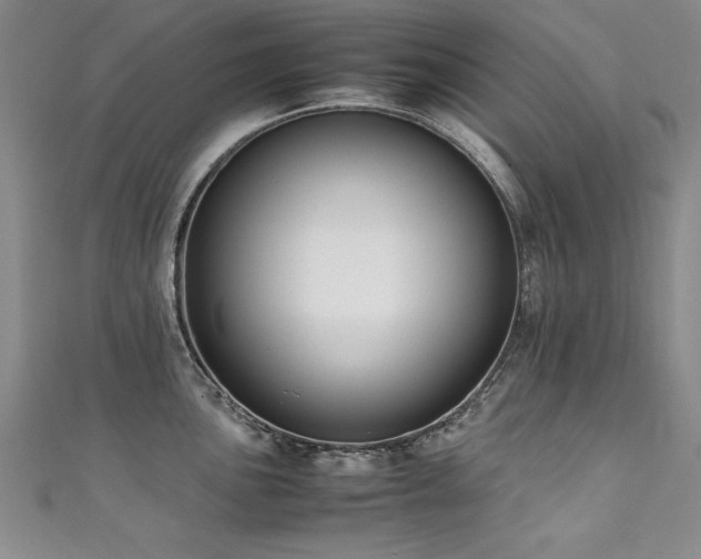 X0000111431051200907131219