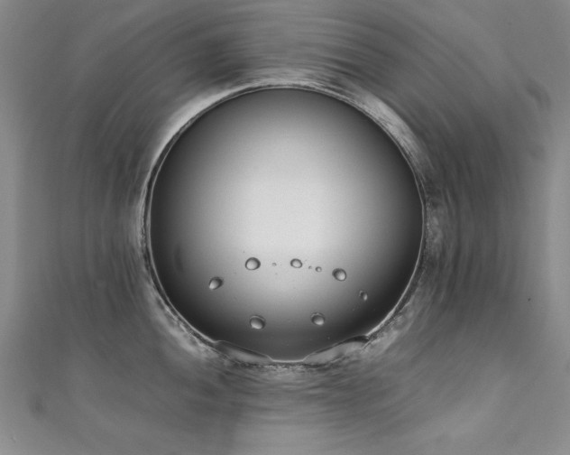 X0000111431052200907131219