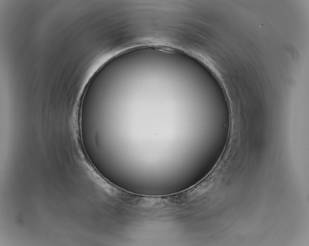 X0000111431056200907131219
