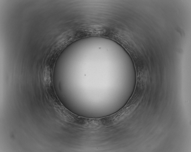X0000111431058200907131218