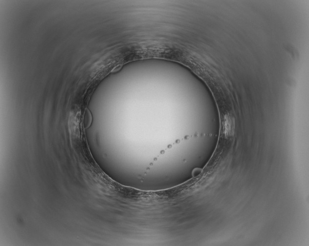 X0000111431059200907131218